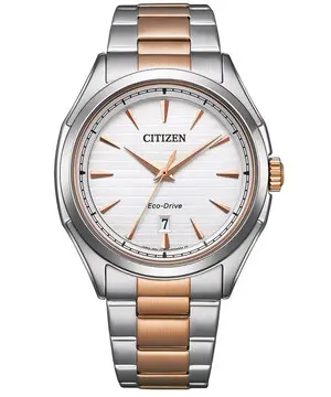 Citizen AW1756-89A, Verze: stříbrná 