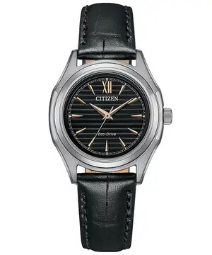 Citizen FE2110-14E, Verze: černá 