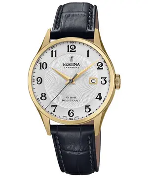 Festina Swiss Made F20010/1 