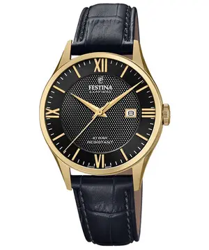 Festina Swiss Made F20010/4 