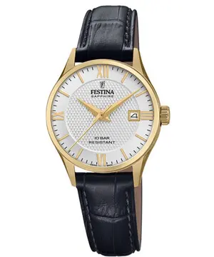 Festina Swiss Made F20011/1 