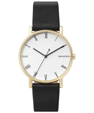 Skagen Sigtur SKW6426 