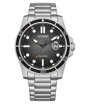 Citizen Marine AW1816-89E, Verze: černá 