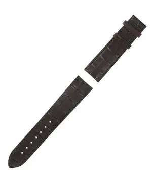 Řemínek Tissot T610014608 