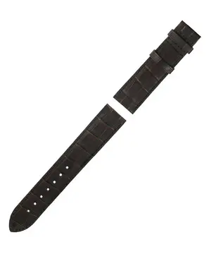 Řemínek Tissot T610014577 