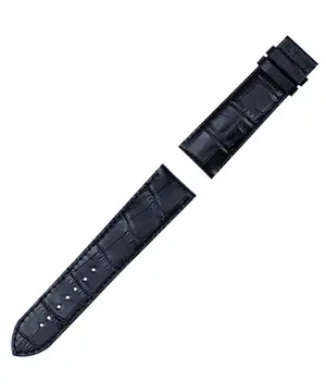 Řemínek Tissot T610033631 