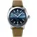 Pánské hodinky Alpina Alpiner Quartz AL-240NS4E6, Verze: hnědá 