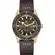 Pánské hodinky Rado Captain Cook R32504306 Bronze, Verze: hnědá 