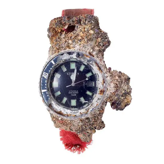 Pánské hodinky Citizen Promaster Challange Diver Fuji-Tsubo NB6021-17E, Verze: černá , 8 image
