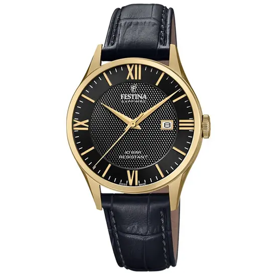 Pánské hodinky Festina Swiss Made F20010/4 