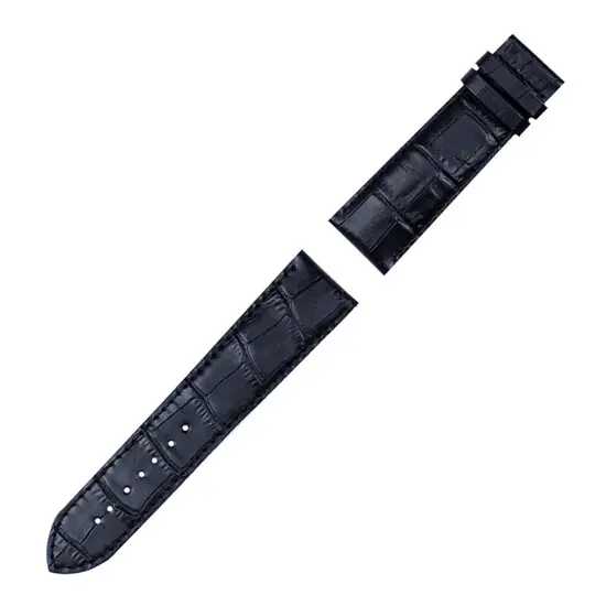 Řemínek Tissot T610033631 