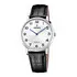 Pánské hodinky Festina Swiss Made F20012/5, Verze: černá2 