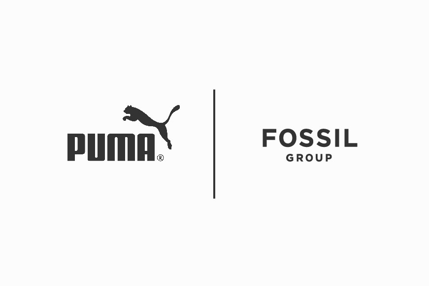 Puma a Fossil Group