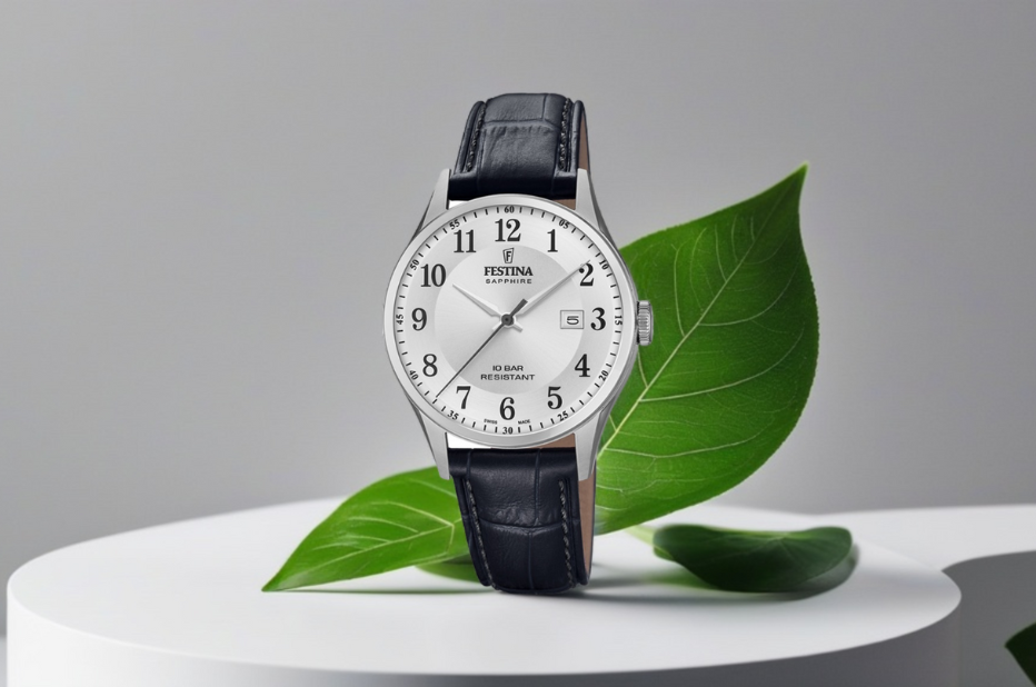 Cenově dostupné švýcarské pánské hodinky Festina