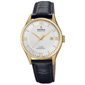 Festina Swiss Made F20010/2 