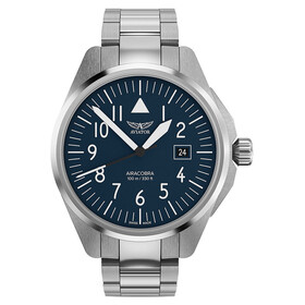 Aviator Airacobra 43 Type A V.1.38.0.317.5, Verze: modrá 