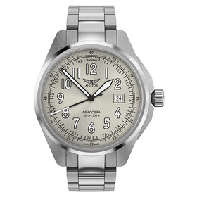 Aviator Airacobra 43 Type B V.1.38.0.327.5, Verze: stříbrná 