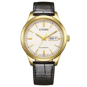 Citizen Mechanical NY4059-09AC, Verze: žluté zlato 