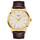 Pánské hodinky Tissot Classic Dream Gent T129.410.36.261.00, Verze: hnědá 