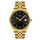 Pánské hodinky Tissot Ballade T156.410.33.051.00, Verze: žluté zlato 