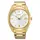Pánské hodinky Seiko Classic SUR314P1, Verze: žluté zlato 