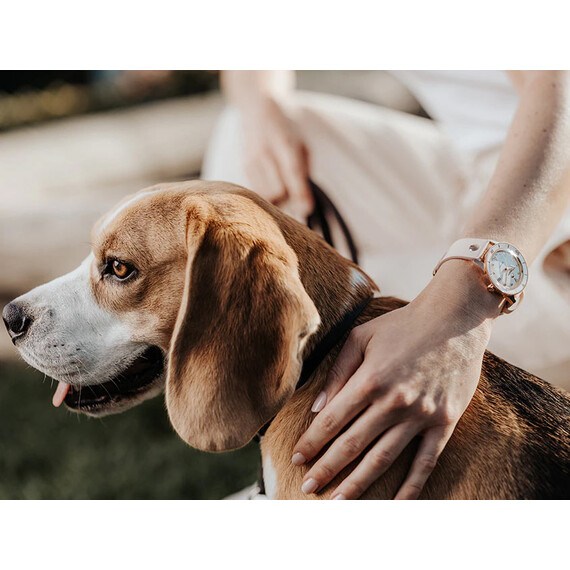 Dámské hodinky Rado Captain Cook Marina Hoermanseder R32139708, Verze: růžové zlato , 18 image