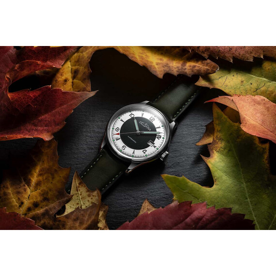 Pánské hodinky Delbana Rotonda 41603.722.6.149, Verze: zelená , 4 image