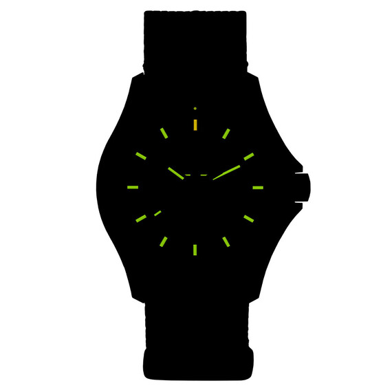 Pánské hodinky Traser P67 Officer Pro Grey 111071, Verze: šedá , 2 image