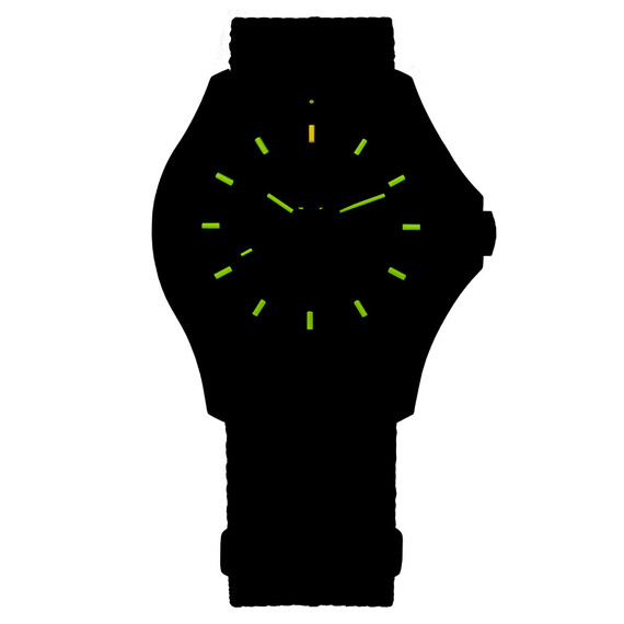 Pánské hodinky Traser P67 Officer Pro Grey 111071, Verze: šedá , 5 image