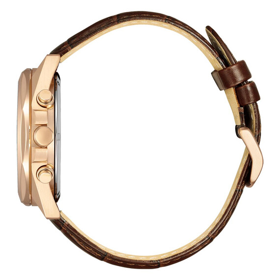 Pánské hodinky Citizen Modern Chrono CA4593-15A, Verze: hnědá , 2 image