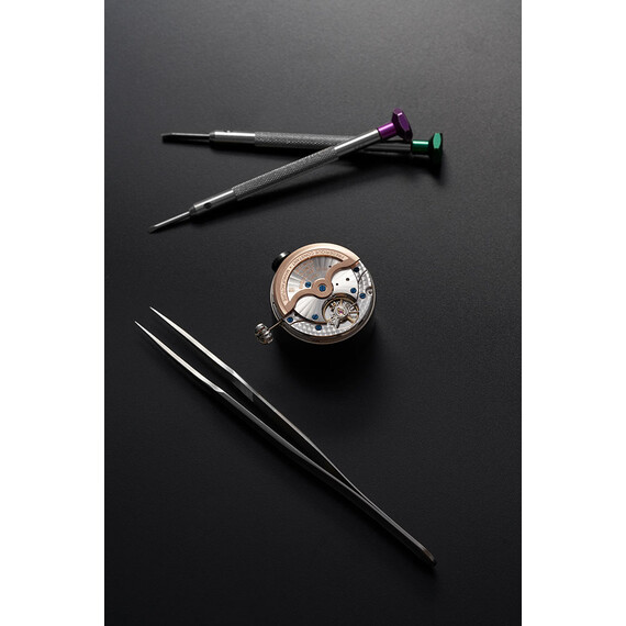 Pánské hodinky Frederique Constant Classic Moonphase Date Manufacture FC-716S3H6, Verze: stříbrná , 9 image