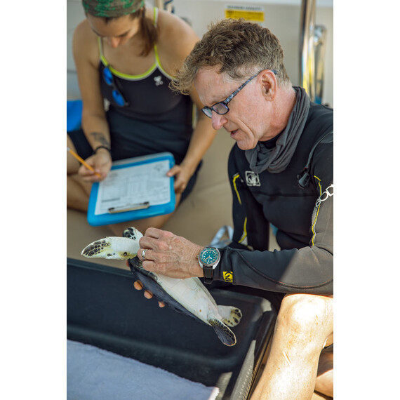 Pánské hodinky Certina DS Super PH1000M C024.907.17.041.10, Verze: modrá , 8 image