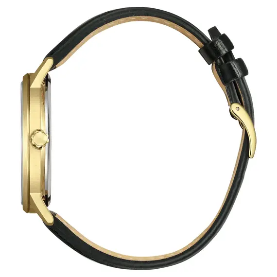 Pánské hodinky Citizen BM6756-01A, Verze: žluté zlato , 2 image