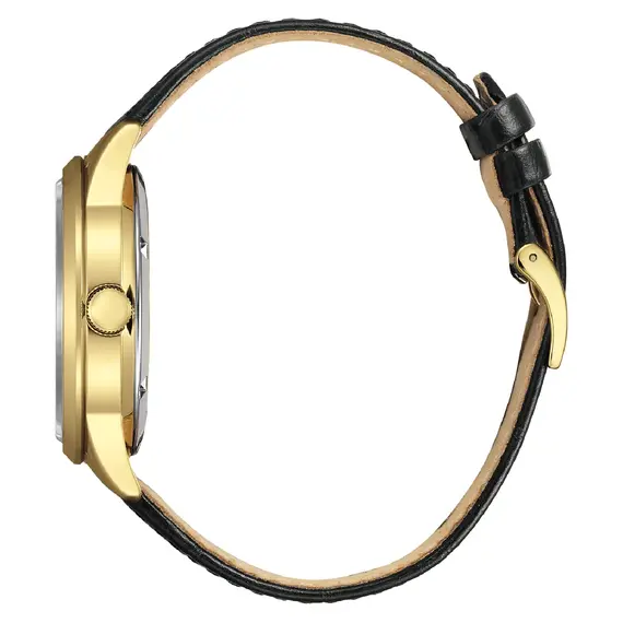 Pánské hodinky Citizen Mechanical NY4059-09AC, Verze: žluté zlato , 2 image