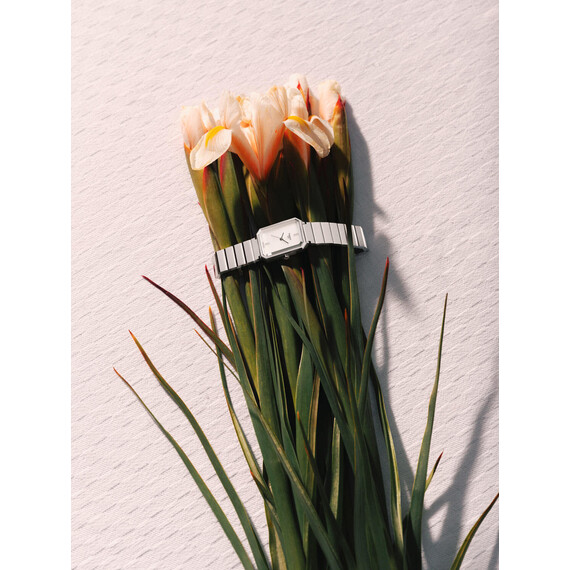 Dámské hodinky Tissot SRV T160.110.11.033.00, Verze: stříbrná , 5 image