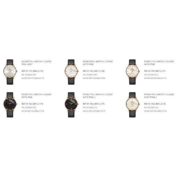 Řemínek Rado Coupole Classic R7709030 19 mm , 2 image