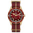 Pánské hodinky Rado Captain Cook Bronze R32504407, Verze: červená 