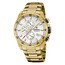 Pánské hodinky Festina Chrono Sport F20541/1, Verze: žluté zlato 