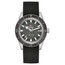 Pánské hodinky Rado Captain Cook Automatic R32505019, Verze: šedá , 2 image