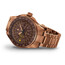 Pánské hodinky Aviator Airacobra GMT V.1.37.8.306.5, Verze: hnědá , 2 image