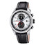 Pánské hodinky Festina Timeless Chronograph F20695/1, Verze: stříbrná 