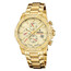 Pánské hodinky Festina Timeless Chronograph F20705/2, Verze: žluté zlato2 