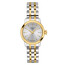 Dámské hodinky Tissot Classic Dream Lady T129.210.22.031.00, Verze: stříbrná2 