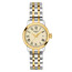 Dámské hodinky Tissot Classic Dream Lady T129.210.22.263.00, Verze: žluté zlato 