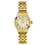 Dámské hodinky Tissot Classic Dream Lady T129.210.33.263.00, Verze: žluté zlato2 