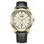 Pánské hodinky Citizen Elegance Classic AW0153-04AC, Verze: žluté zlato 
